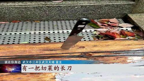 国产顶级菜刀视频  第1张