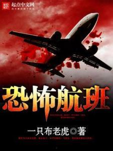 国产恐怖飞机视频大全,揭秘神秘视频大全  第1张