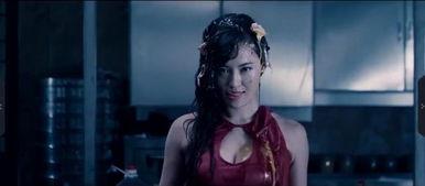 经典国产打斗视频网站  第3张