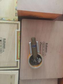 国产小雪茄品鉴视频  第1张