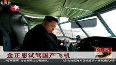驾驶国产飞机视频播放,驾驶体验视频深度解析  第2张