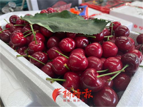 关于国产樱桃的视频  第2张