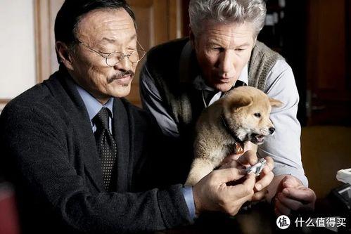 国产剧忠犬八公影评视频  第1张