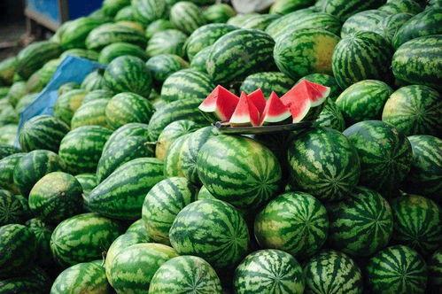 国产人西瓜无码视频,揭秘国产影视行业的新趋势  第2张